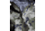 Kings Camo XKG Paramount Rain Jacket - Womens
