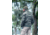 KITANICA Mark IV Jacket - Mens, Ranger Green, Medium Long, 204-GRN-MED-LNG