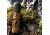 Knight &amp; Hale Competition Owl Call, KHT411-T