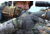 Kryptek Tora Glove - Mens, Altitude, M, 19TORGLA4