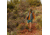 Danner Jag II Falcon Gray - Mens, Gray, 10, 32250-D-10