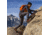 Danner Panorama Mid 6in Pinecone Brown/Bossa Nova - Mens, Pinecone Brown/Bossa Nova, 11, 63439-D-11