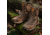 LaCrosse Footwear Windrose 8in Brown Size 8, 51336008