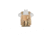 Lancer Tactical 1000D Nylon MOLLE Plate Carrier Vest, Camo, CA-301CN