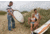 Lastolite Camera Lighting Equipment 30" Collapsible Reflector - Sunfire/silver in Use