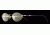 Laura Ashley Renee SELA RENE00 Eyeglass Frames