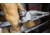 Leatherman Tools Surge Multi-Tool - Stainless Steel Finish, Leather Sheath 830158