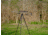 Leofoto ST-364CX Outdoors Tripod w/ Integrated Lever-Control Ballhead&amp;Lever-Release Clamp, Black, ST-364CX
