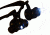 Levenhuk Zeno Vizor G4 Magnifying Glasses, Black, Medium 70432