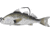 Live Target Croaker Swimbait