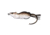 Live Target Field Mouse Hollow Body,brown/white,1/O MHB60T400