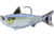 Live Target Gizzard Shad Swimbait