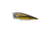 Live Target GM Juvenille BB Popper,gold/bronze,#4 GBP75T954