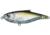 Live Target LiveTarget Scaled Sardine Twitchbait, 0-1', Suspending, 7/16oz, 3in, Ghost &amp; Amber, SST75S946