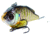Live Target Livetarget Sunfish Bluegill Medium Sink Lipless Rattlebait, Sinking, Metallic/Gloss, 2 3/16in, 1/4oz, #6 #8 Hooks, BGV55SK102