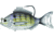 Live Target Pinfish Swimbait