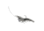 Live Target Rigged Shrimp Soft Plstc,clear shrimp,2/0 SSF100SK919