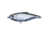 Live Target Scaled Sardine Twitchbait,ghost/natrl,#6 SST75S948
