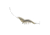 Live Target Shrimp Hybrid Bait,clear shrimp,#8,#6 SSH90SK919