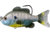 Live Target Sunfish Swimbait