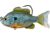 Live Target Sunfish Swimbait