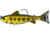 Live Target Trout Parr Swimbait