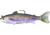 Live Target Trout Parr Swimbait