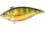 Live Target Yellow Perch Rattlebait