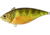 Live Target Yellow Perch Rattlebait