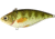 Live Target Yellow Perch Rattlebait