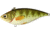 Live Target Yellow Perch Rattlebait