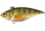 Live Target Yellow Perch Rattlebait