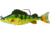 Live Target Yellow Perch Swimbait