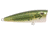 Livingston Lures Walk N Pop 67 Lure, Baby Bass, 5301