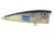 Livingston Lures Walk N Pop 67 Lure, Bluetreuse, 5315