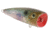 Livingston Lures Walk N Pop 67 Lure, Ghost Gizzard Shad, 5339