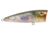 Livingston Lures Walk N Pop 67 Lure, Ghost Gizzard Shad, 5339