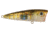 Livingston Lures Walk N Pop 67 Lure, True Bream, 5335