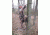 Lone Wolf Treestands Wide Sit and Climb II Combo Tree Stand, Gray WSCC II