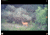 Longshot by Target Vision Hawk Smart Spotting Scopes Camera, TV-CF301