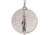 Luhr Jensen 0 Dipsy Diver, Silver / Silver Bottom, 5560-000-0920