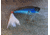 Lunkerhunt Impact Crush Bait, Patriot, 2.5in &amp; 1/3 oz, IMPOP03