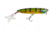 Lunkerhunt Impact Walker Bait, Green Back, 4in &amp; 1/2 oz, IMWLK04