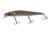 Lunkerhunt Sushi 110S Bait, Common Shiner, 4.3in &amp; 1/2 oz, SUSHI05