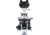 LW Scientific i-4 Infinity PLAN Trinocular w/BioTOUCH Android Camera &amp; Screen Microscope, i4S-T4BT-iPL3