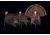 MAD Spin-N Strut Turkey Decoy, Brown, MD-735
