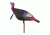 MAD Walking Tom Turkey Decoy, Black MD-715