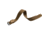 Marathon Nylon Watch Strap, 20mm, Desert Tan, WS-NY-DTBK-20-12