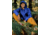 Marmot PreCip Eco Pro Jacket - Womens, Twilight Blue, L, M15874-23091L