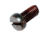 Maxwell Screw CHSHD M8 x 16 - Stainless Steel 304 70235